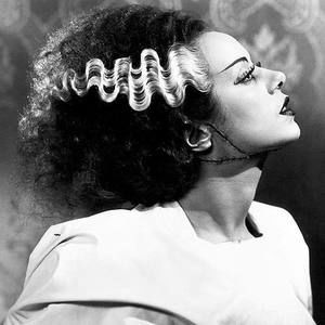 Meet your Posher, Kyla